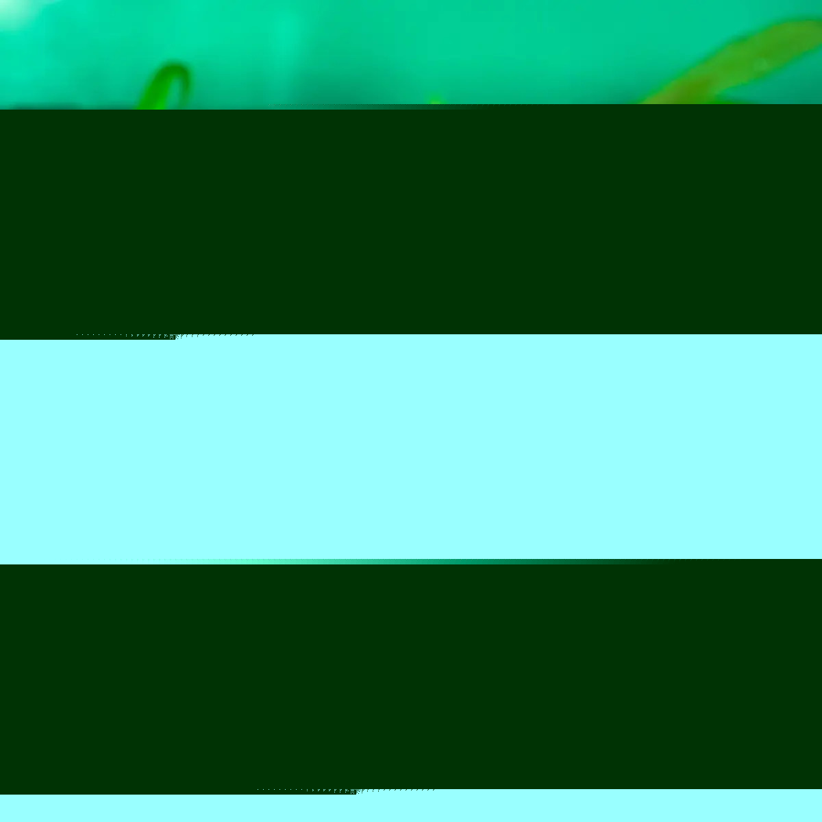 Rainforest Omega Rich Beauty Balm, 30ml